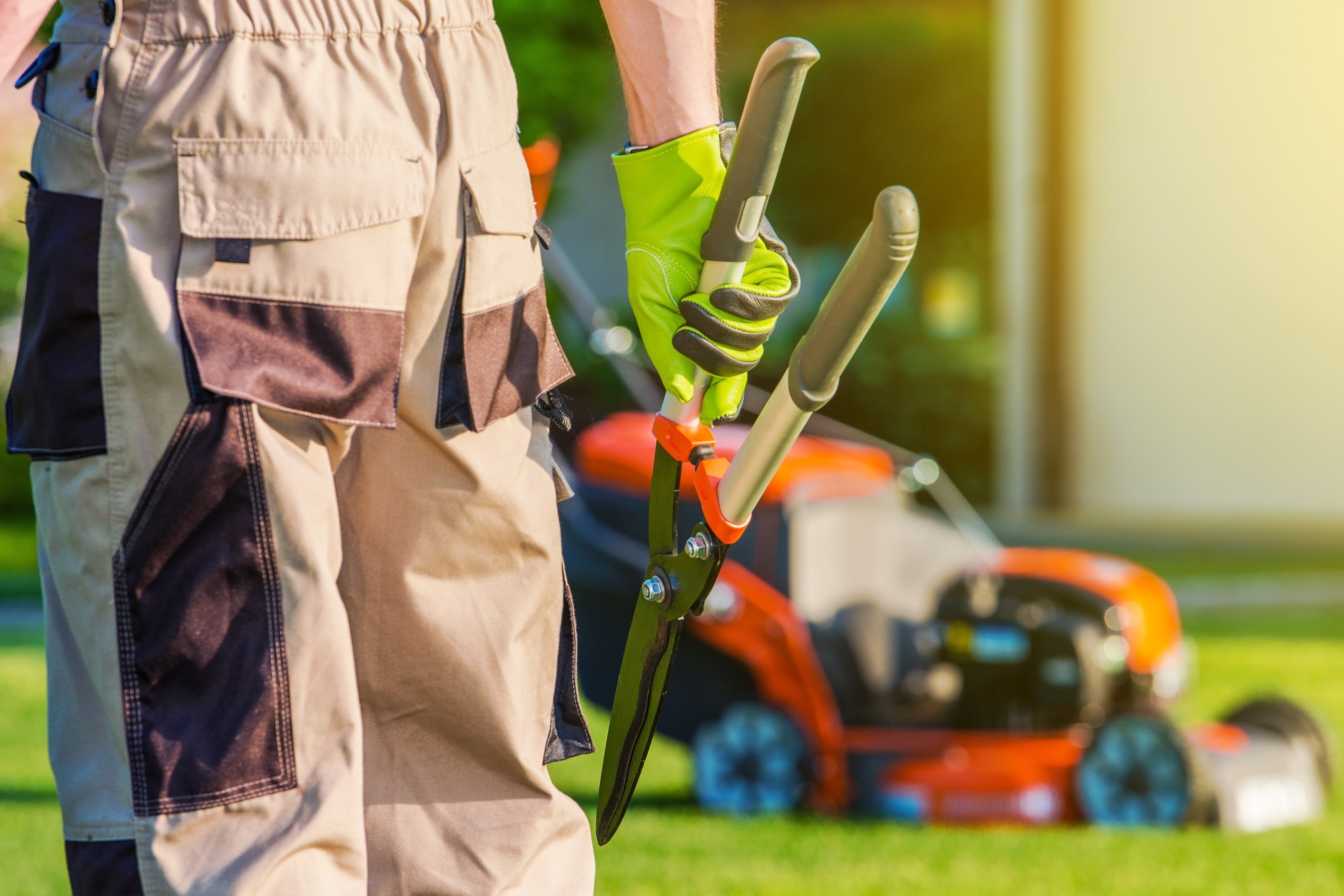 The Benefits of Hiring a Professional Commercial Lawn Care Service